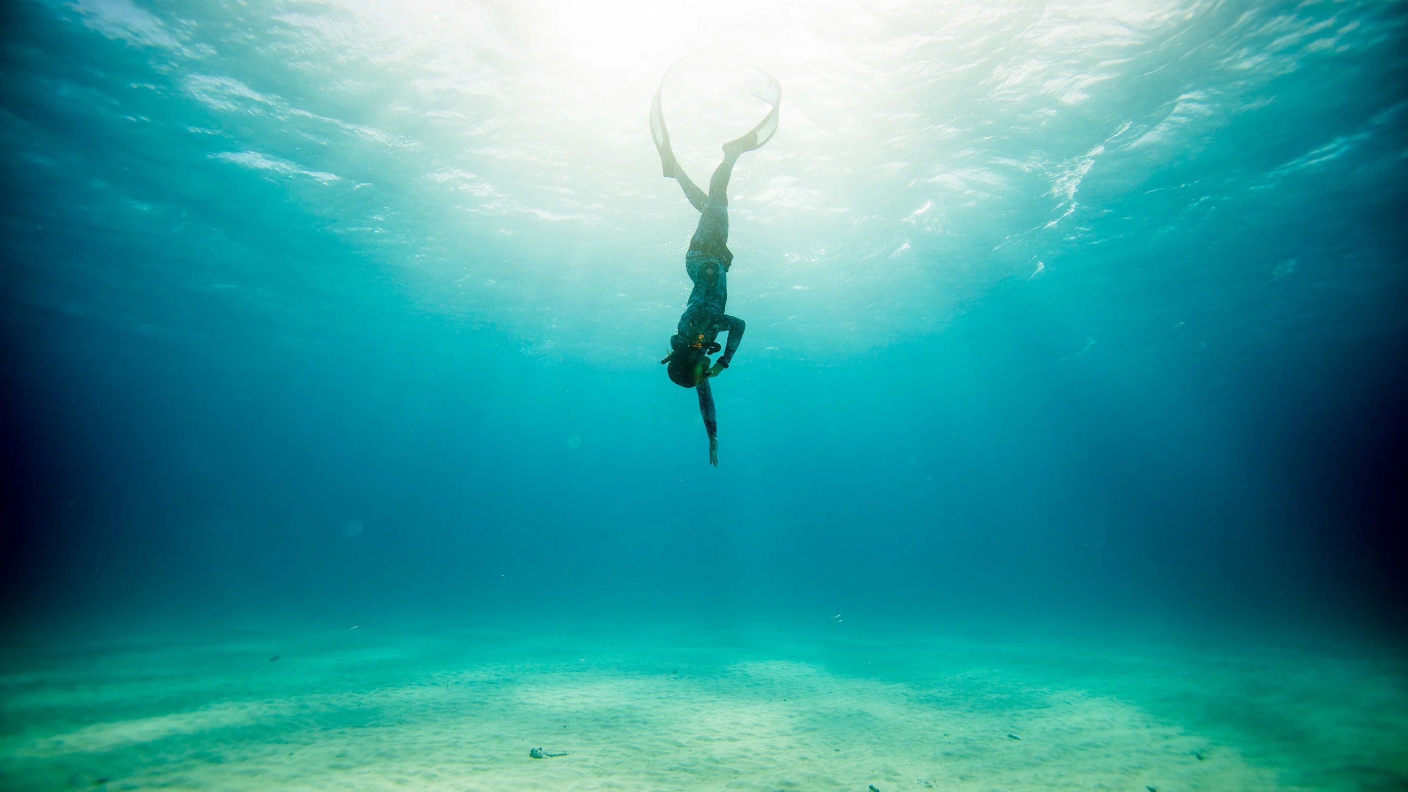 PADI Freediver